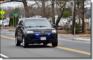 DSC_3043.jpg  (319.2 Kb)