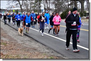 DSC_3104.jpg  (414.0 Kb)