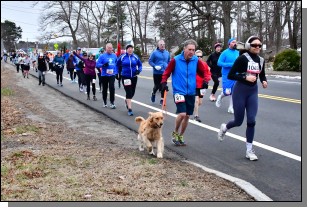 DSC_3105.jpg  (433.9 Kb)