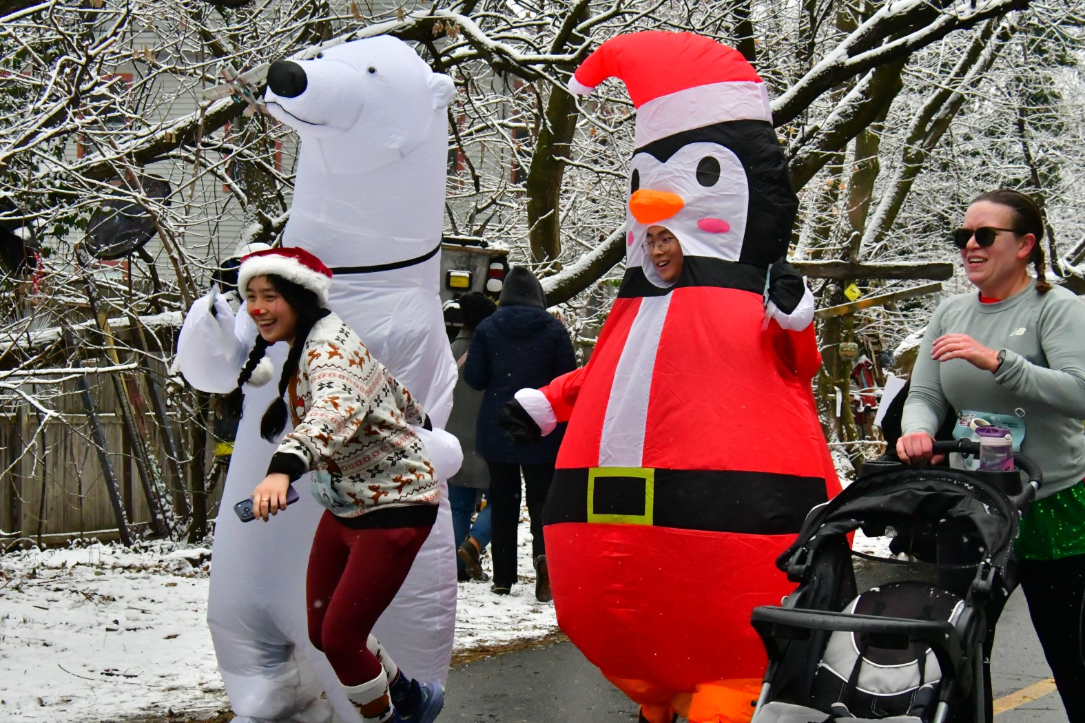 251214 - 452.jpg  (515.4 Kb)