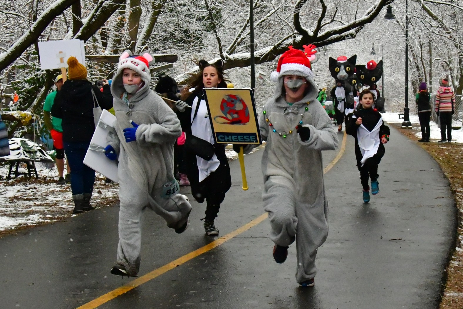 251214 - 519.jpg  (472.5 Kb)