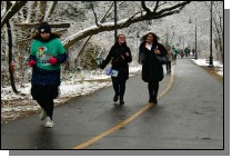 251214 - 534.jpg  (483.9 Kb)